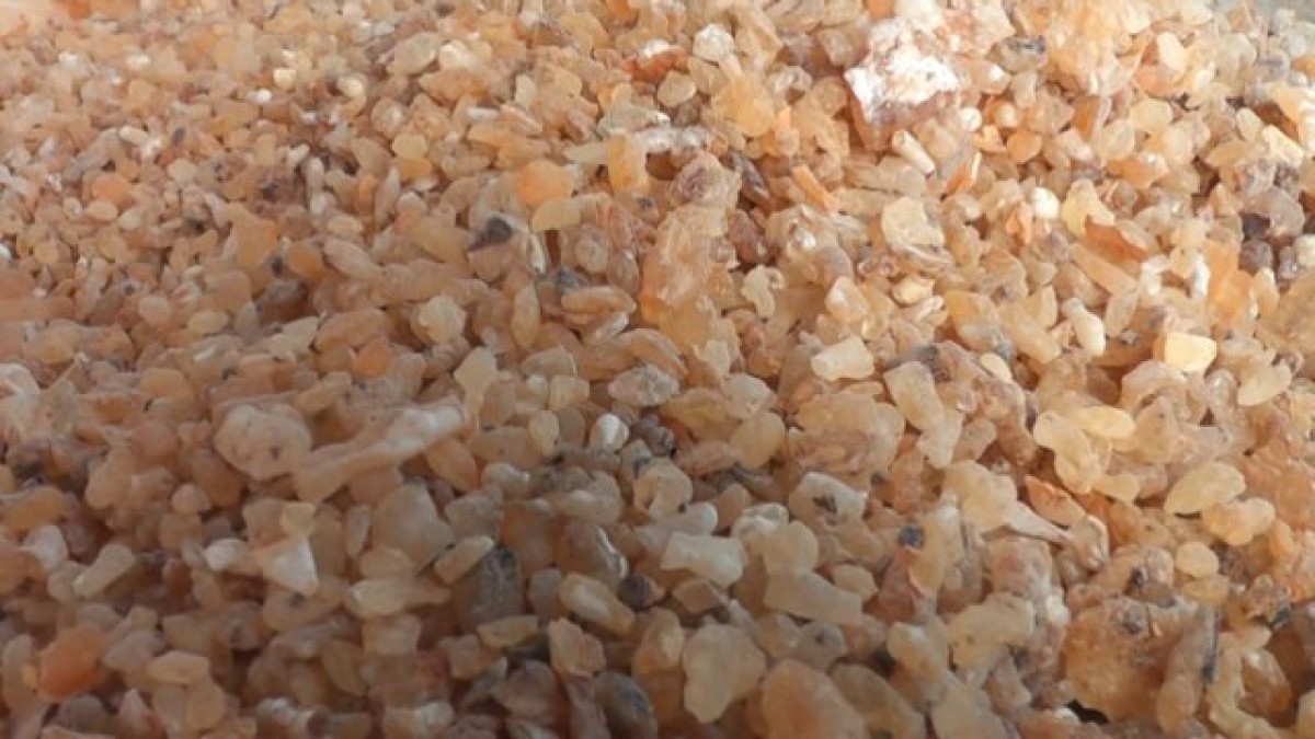 Frankincense from Somalia